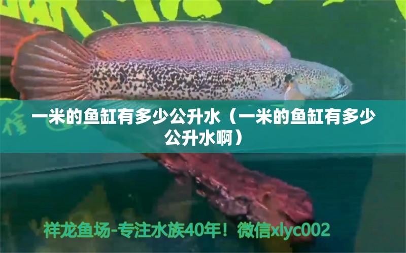 一米的鱼缸有多少公升水（一米的鱼缸有多少公升水啊） 其他品牌鱼缸