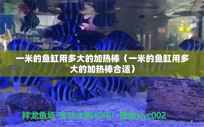 一米的鱼缸用多大的加热棒（一米的鱼缸用多大的加热棒合适） 鱼缸百科