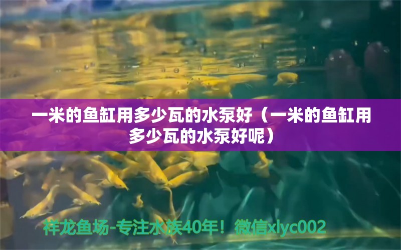 一米的鱼缸用多少瓦的水泵好（一米的鱼缸用多少瓦的水泵好呢） 鱼缸百科