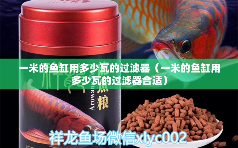 一米的鱼缸用多少瓦的过滤器（一米的鱼缸用多少瓦的过滤器合适） 鱼缸百科