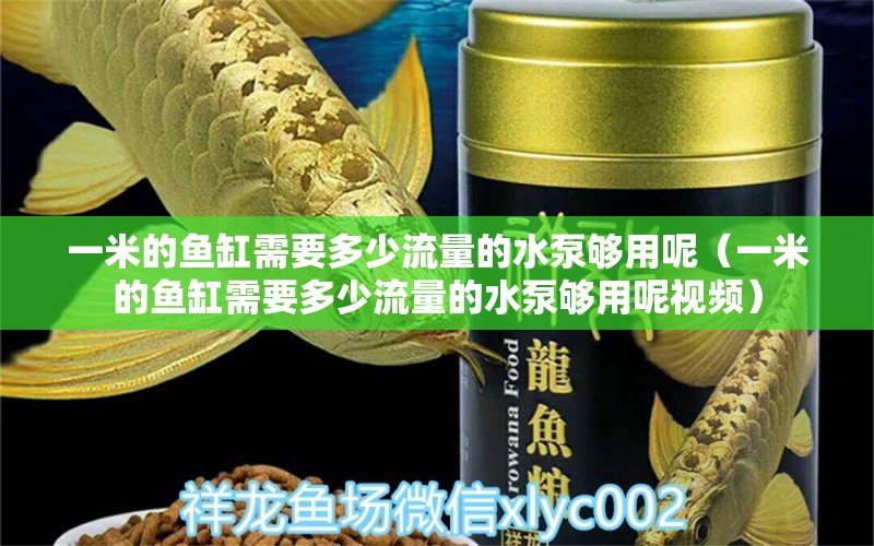 一米的鱼缸需要多少流量的水泵够用呢（一米的鱼缸需要多少流量的水泵够用呢视频）