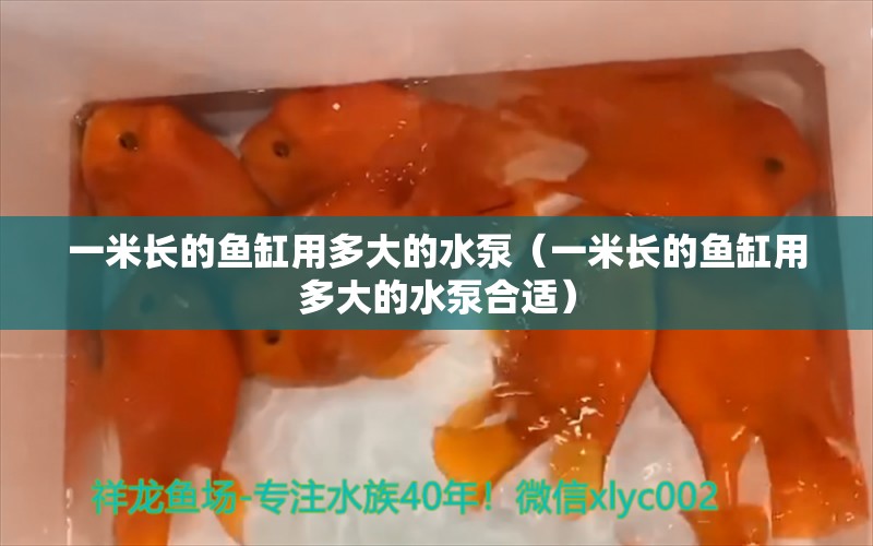 一米长的鱼缸用多大的水泵（一米长的鱼缸用多大的水泵合适） 其他品牌鱼缸