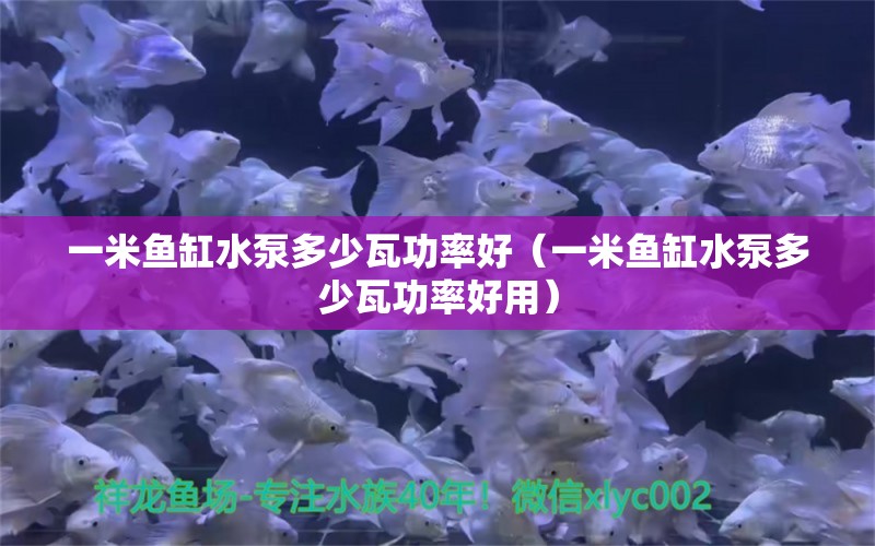 一米鱼缸水泵多少瓦功率好（一米鱼缸水泵多少瓦功率好用）