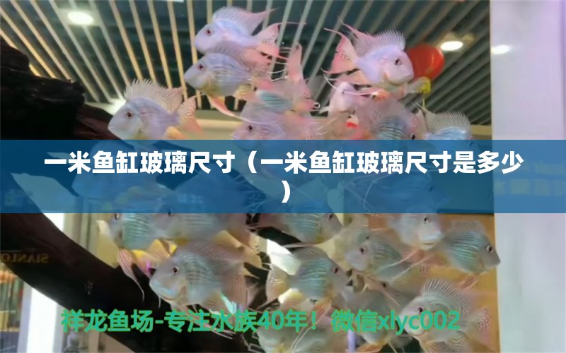 一米鱼缸玻璃尺寸（一米鱼缸玻璃尺寸是多少） 祥龙水族医院