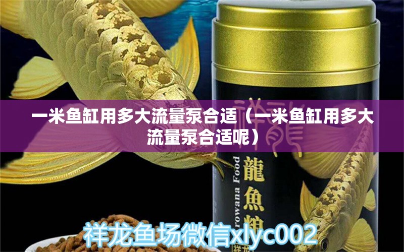 一米鱼缸用多大流量泵合适（一米鱼缸用多大流量泵合适呢）