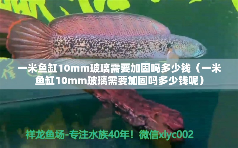 一米鱼缸10mm玻璃需要加固吗多少钱（一米鱼缸10mm玻璃需要加固吗多少钱呢）