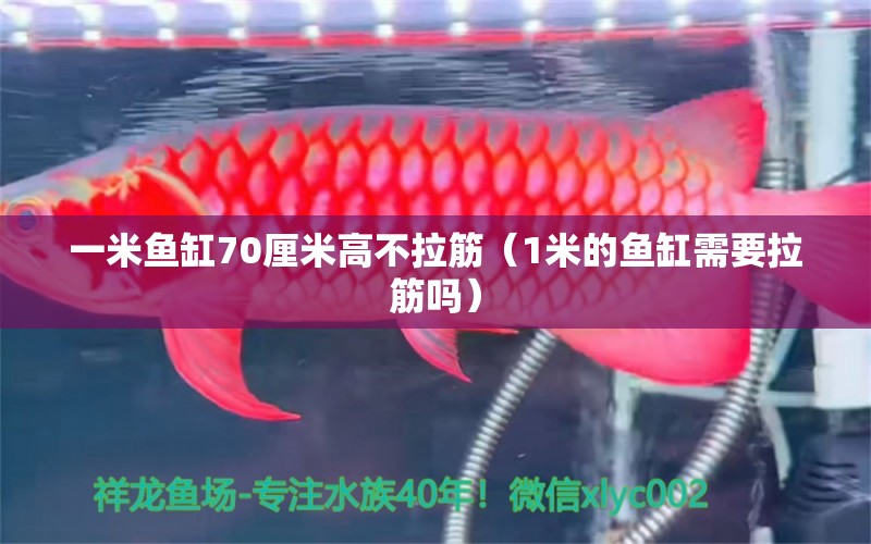 一米鱼缸70厘米高不拉筋（1米的鱼缸需要拉筋吗）