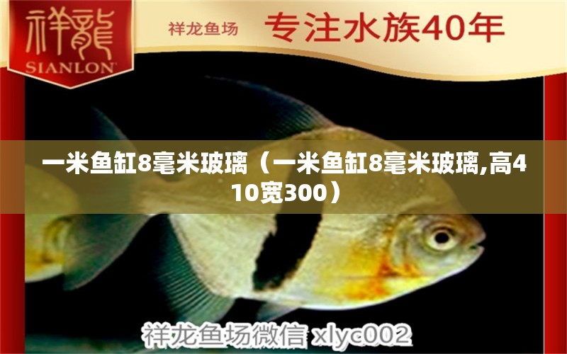 一米鱼缸8毫米玻璃（一米鱼缸8毫米玻璃,高410宽300）
