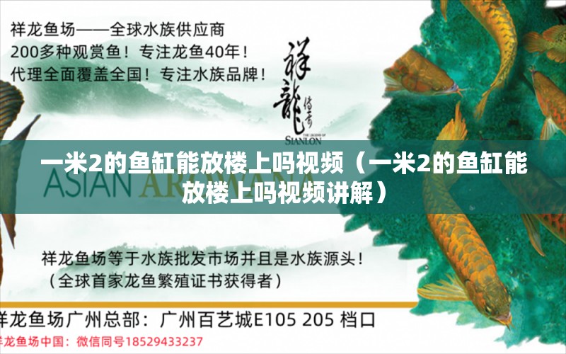 一米2的鱼缸能放楼上吗视频（一米2的鱼缸能放楼上吗视频讲解）