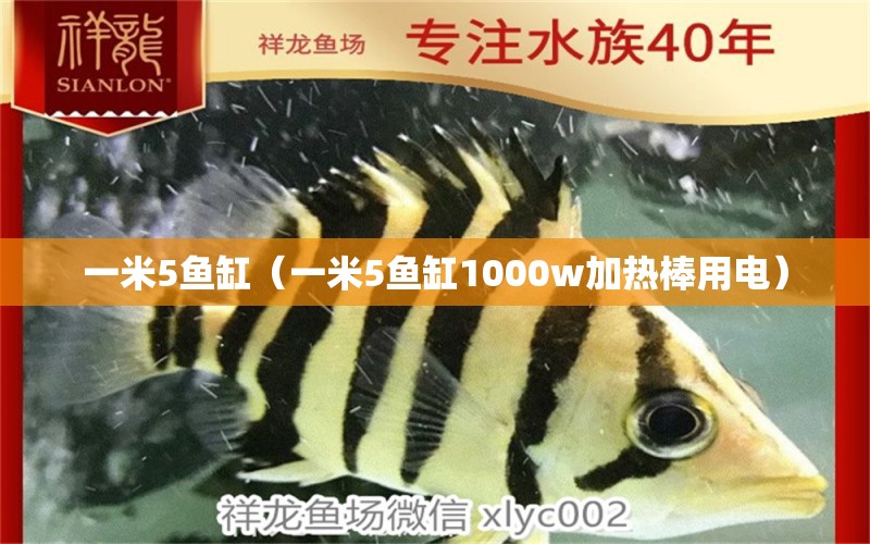 一米5鱼缸（一米5鱼缸1000w加热棒用电）