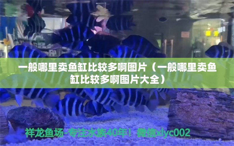 一般哪里卖鱼缸比较多啊图片（一般哪里卖鱼缸比较多啊图片大全） 祥龙水族医院