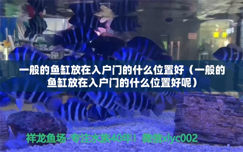 一般的鱼缸放在入户门的什么位置好（一般的鱼缸放在入户门的什么位置好呢）