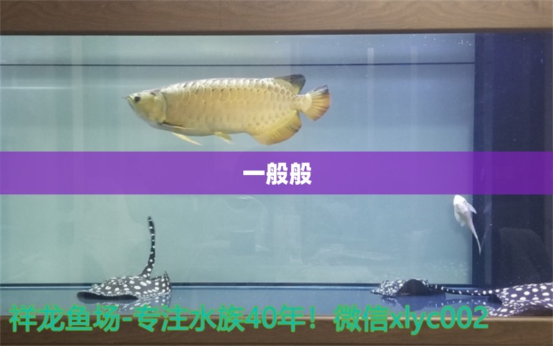 一般般