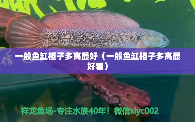 一般鱼缸柜子多高最好（一般鱼缸柜子多高最好看）