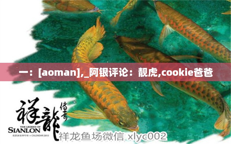 一：[aoman],_阿银评论：靓虎,cookie爸爸 观赏鱼论坛 第2张