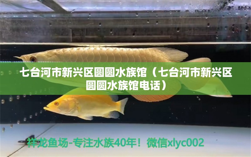 七台河市新兴区圆圆水族馆（七台河市新兴区圆圆水族馆电话） 全国水族馆企业名录