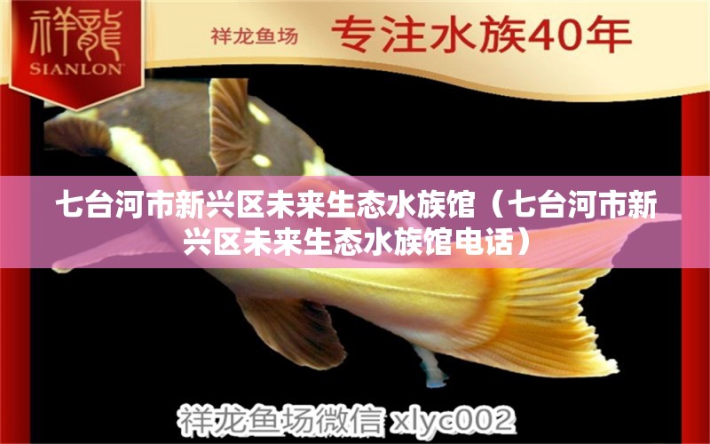 七台河市新兴区未来生态水族馆（七台河市新兴区未来生态水族馆电话）