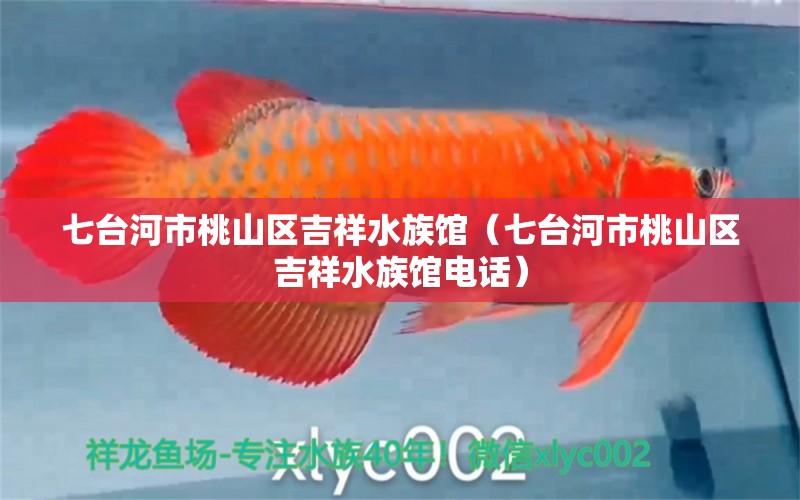 七台河市桃山区吉祥水族馆（七台河市桃山区吉祥水族馆电话） 全国水族馆企业名录