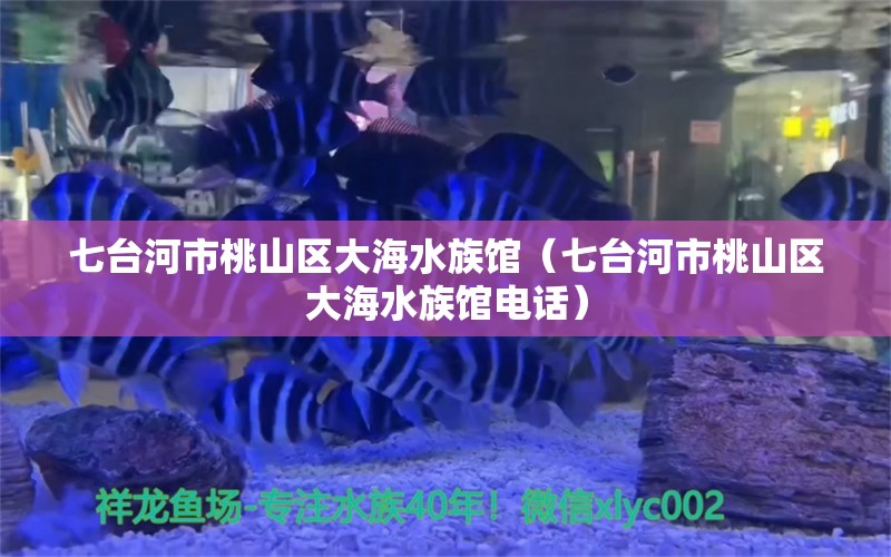 七台河市桃山区大海水族馆（七台河市桃山区大海水族馆电话）