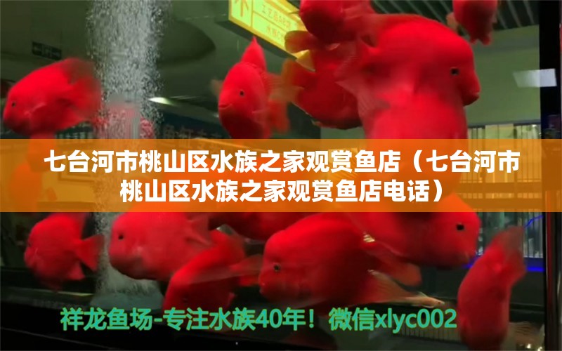 七台河市桃山区水族之家观赏鱼店（七台河市桃山区水族之家观赏鱼店电话） 全国水族馆企业名录