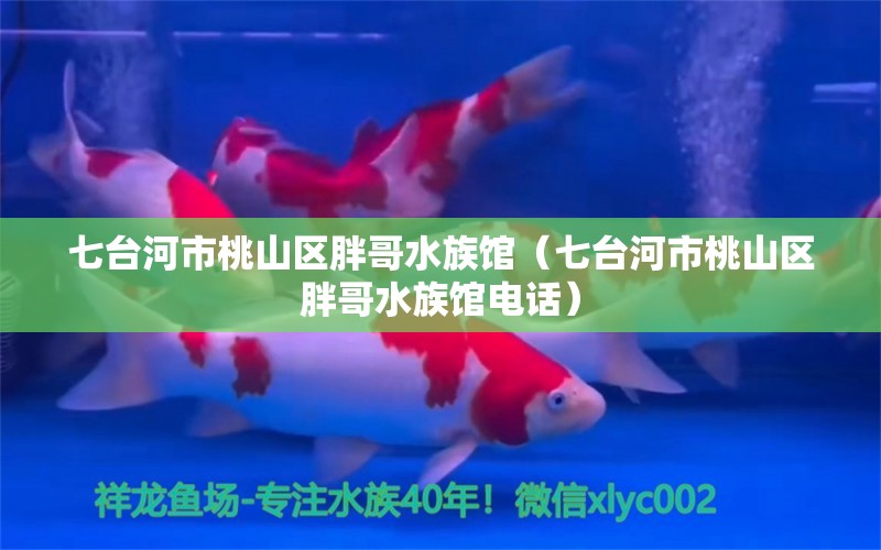 七台河市桃山区胖哥水族馆（七台河市桃山区胖哥水族馆电话） 全国水族馆企业名录