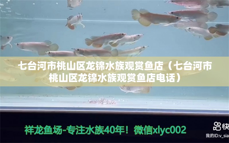 七台河市桃山区龙锦水族观赏鱼店（七台河市桃山区龙锦水族观赏鱼店电话）