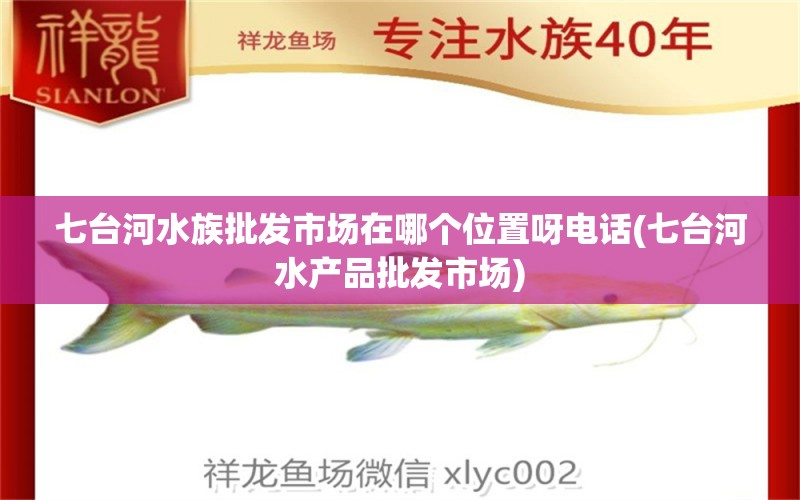 七台河水族批发市场在哪个位置呀电话(七台河水产品批发市场) 观赏鱼水族批发市场