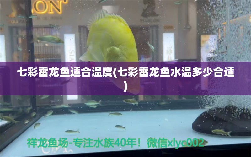 七彩雷龙鱼适合温度(七彩雷龙鱼水温多少合适) B级过背金龙鱼 第1张