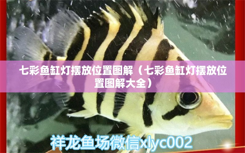 七彩鱼缸灯摆放位置图解（七彩鱼缸灯摆放位置图解大全） 祥龙水族医院