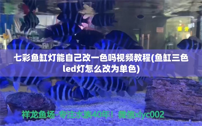 七彩鱼缸灯能自己改一色吗视频教程(鱼缸三色led灯怎么改为单色)