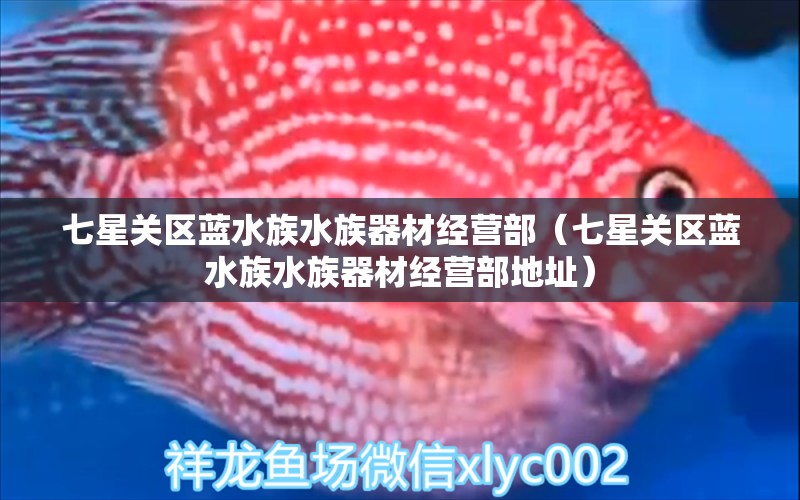 七星关区蓝水族水族器材经营部（七星关区蓝水族水族器材经营部地址）