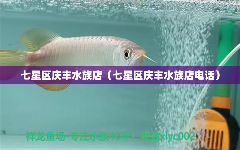 七星区庆丰水族店（七星区庆丰水族店电话）