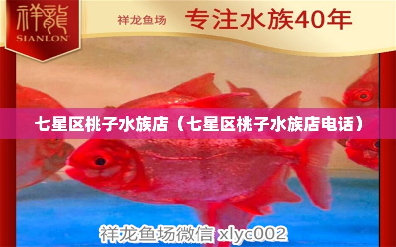 七星区桃子水族店（七星区桃子水族店电话） 全国水族馆企业名录