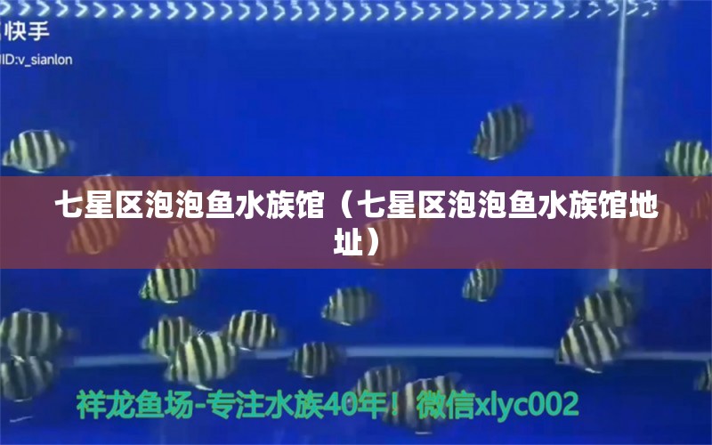 七星区泡泡鱼水族馆（七星区泡泡鱼水族馆地址） 全国水族馆企业名录