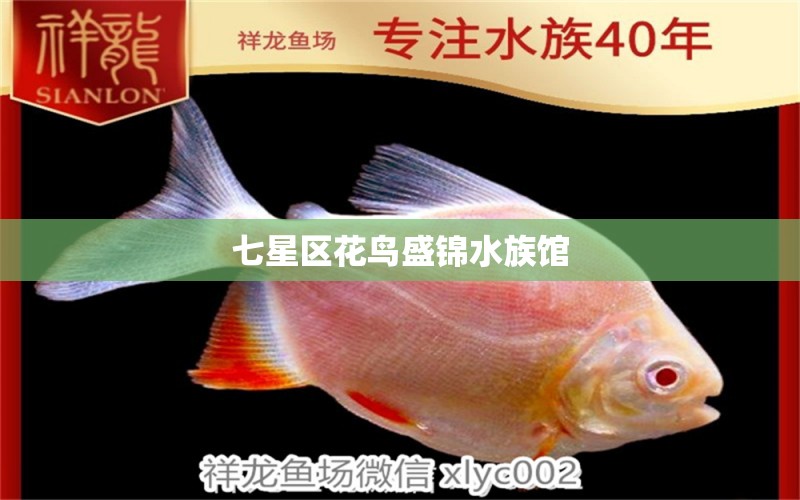 七星区花鸟盛锦水族馆 全国水族馆企业名录