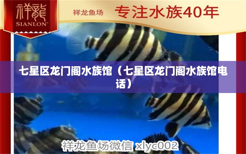 七星区龙门阁水族馆（七星区龙门阁水族馆电话） 全国水族馆企业名录