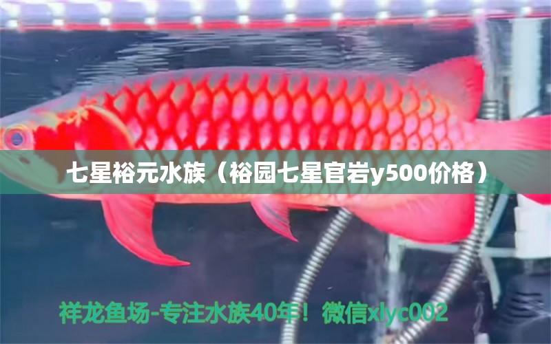 七星裕元水族（裕园七星官岩y500价格）