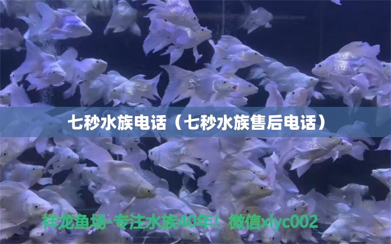 七秒水族电话（七秒水族售后电话） 观赏虾蟹等饲料