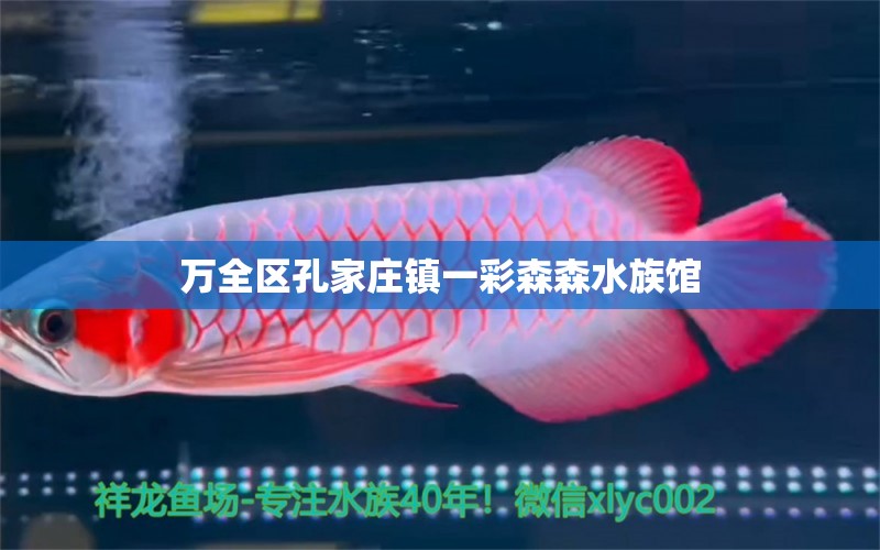 万全区孔家庄镇一彩森森水族馆 全国水族馆企业名录