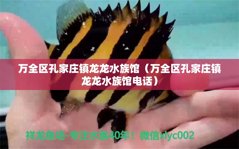 万全区孔家庄镇龙龙水族馆（万全区孔家庄镇龙龙水族馆电话） 全国水族馆企业名录