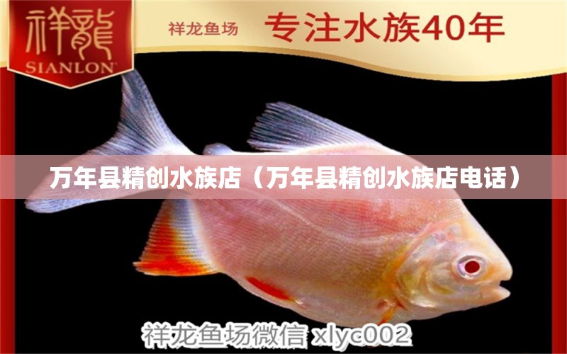 万年县精创水族店（万年县精创水族店电话）