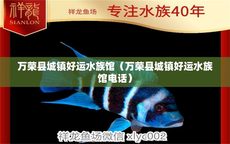 万荣县城镇好运水族馆（万荣县城镇好运水族馆电话）