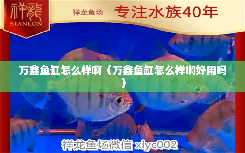 万鑫鱼缸怎么样啊（万鑫鱼缸怎么样啊好用吗） 祥龙水族医院