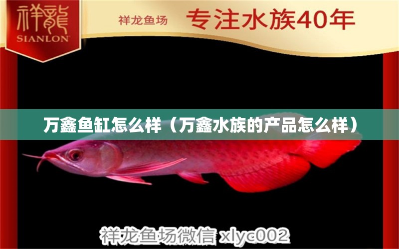 万鑫鱼缸怎么样（万鑫水族的产品怎么样） 水族品牌 第2张