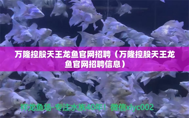 万隆控股天王龙鱼官网招聘（万隆控股天王龙鱼官网招聘信息） 广州龙鱼批发市场