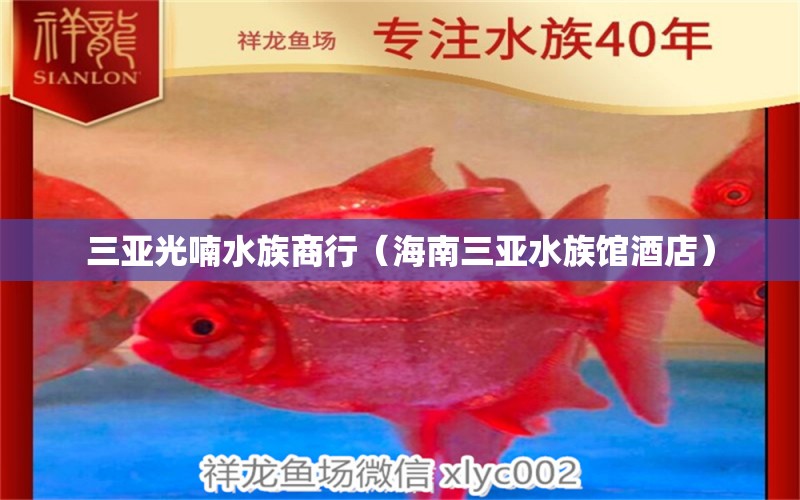 三亚光喃水族商行（海南三亚水族馆酒店）