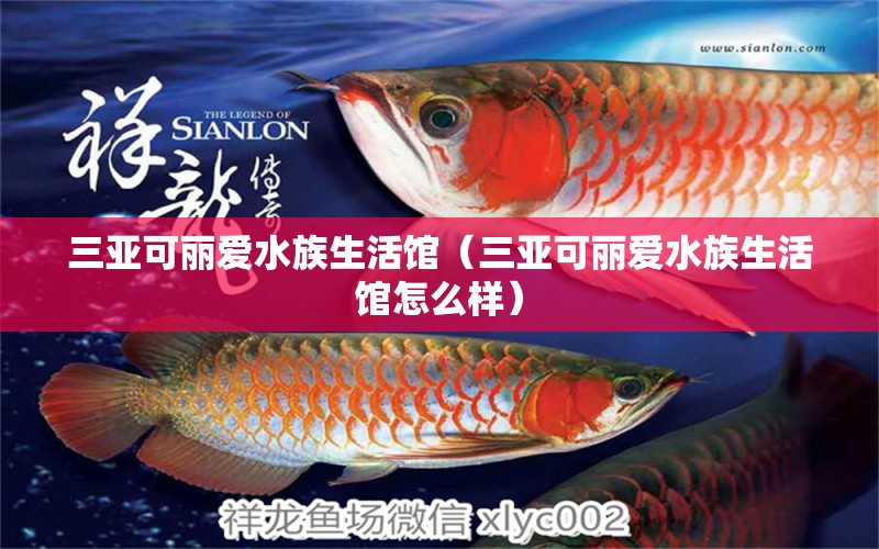 三亚可丽爱水族生活馆（三亚可丽爱水族生活馆怎么样）