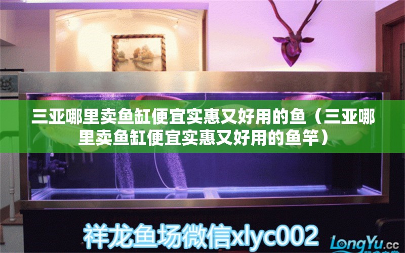 三亚哪里卖鱼缸便宜实惠又好用的鱼（三亚哪里卖鱼缸便宜实惠又好用的鱼竿） 伊罕水族 第1张