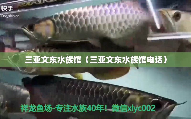 三亚文东水族馆（三亚文东水族馆电话）