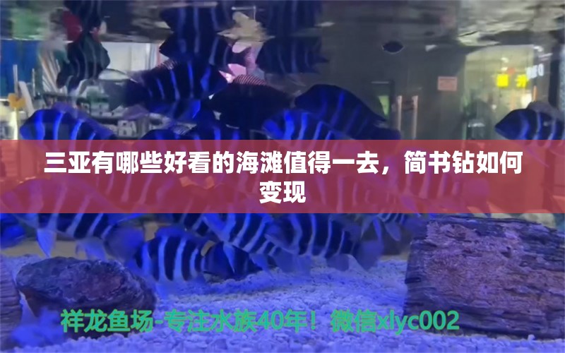 三亚有哪些好看的海滩值得一去，简书钻如何变现